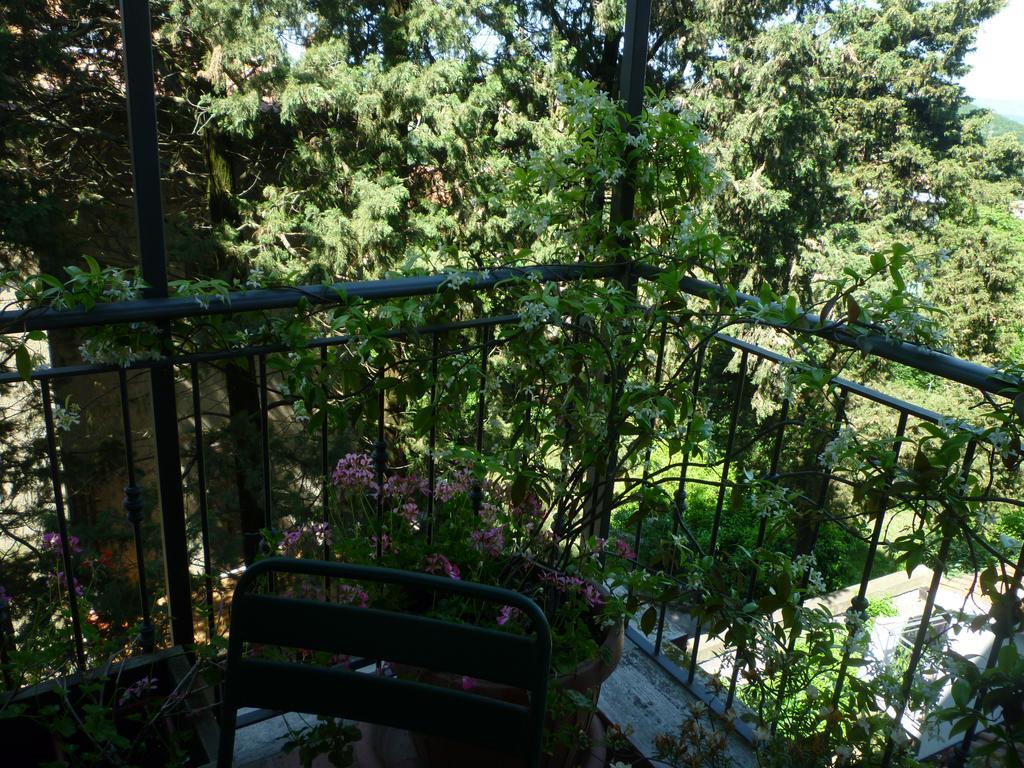 Le Camere Di Paolino Manciano Exterior foto